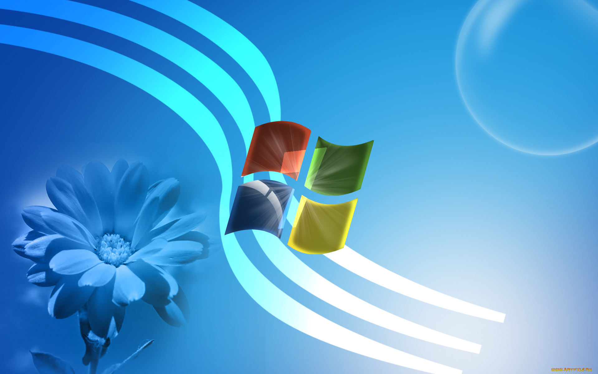 Как скопировать фон рабочего стола windows 7